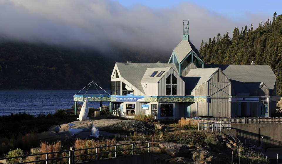 Ce centre de recherche sur les baleines est basé dans un des plus beaux villages du Québec, en face d&rsquo;un fjord majestueux