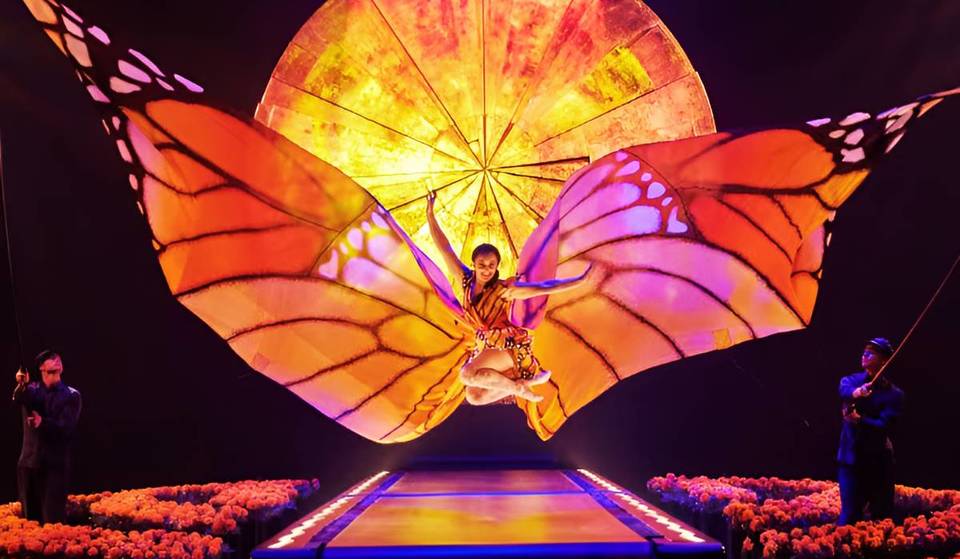 LUZIA by Cirque du Soleil: a show between dream and reality at the Old Port of Montreal