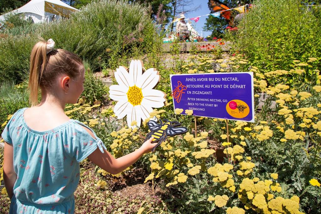 L’écosystème montréalais est en « blitz » – et l’Espace pour la Vie a prévu un festival de pollinisateurs