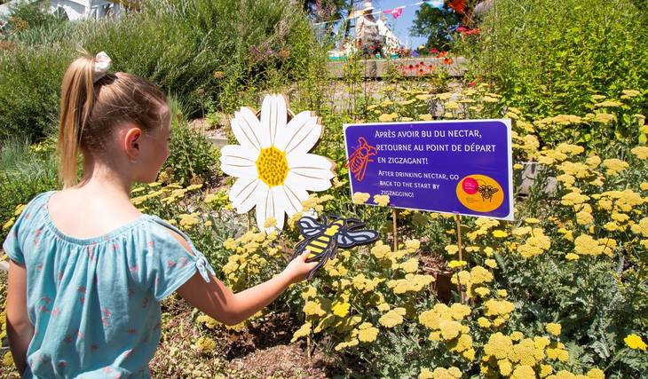 L&rsquo;écosystème montréalais est en « blitz » &#8211; et l&rsquo;Espace pour la Vie a prévu un festival de pollinisateurs