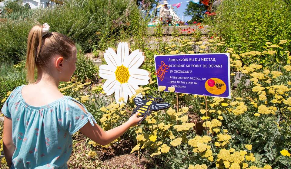 L&rsquo;écosystème montréalais est en « blitz » &#8211; et l&rsquo;Espace pour la Vie a prévu un festival de pollinisateurs