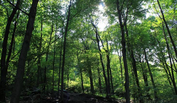 Ce mont à l&rsquo;aura mystérieuse à 45min de Montréal a un lac sans fond, une grotte habitée par des fées &#8211; et on peut y faire de la randonnée