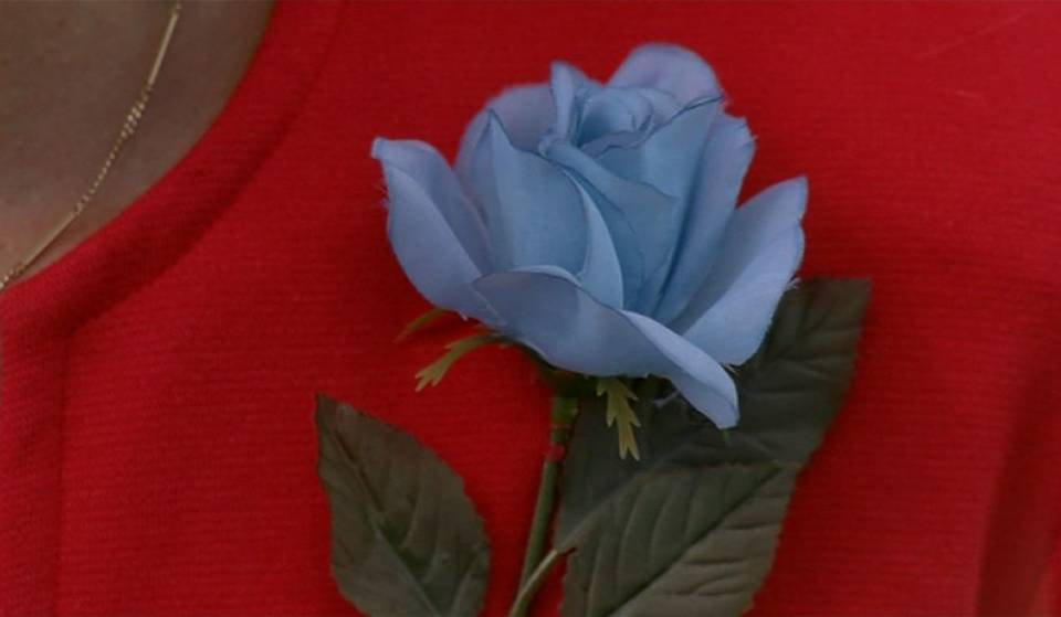 An all-nighter dedicated to David Lynch&#8217;s Twin Peaks &#8211; organized by an iconic Montreal film festival