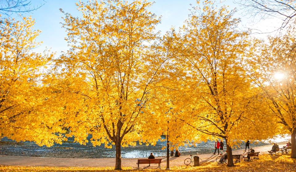 Montreal autumn 2025 will be cool and wet – weather predictions from the Farmers’ Almanac