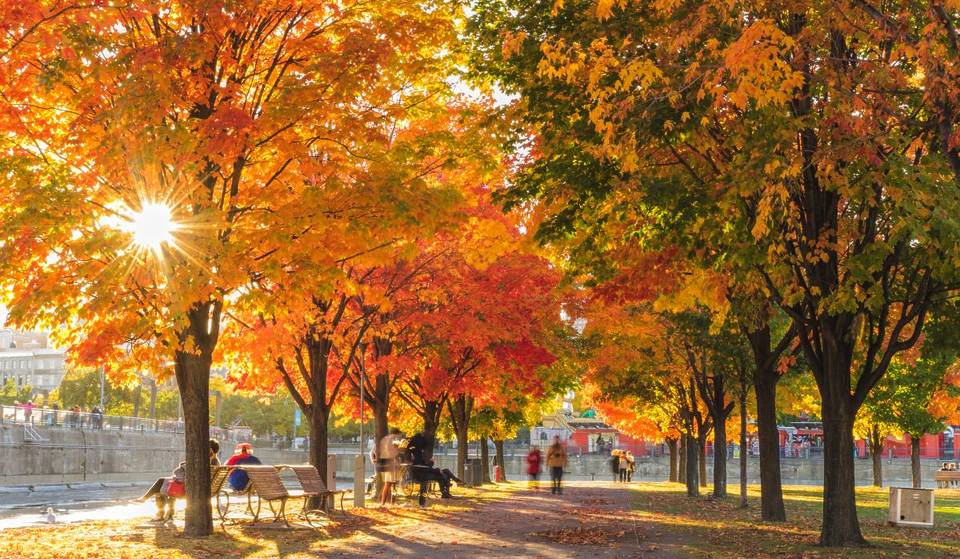 Bucket List de l&rsquo;automne montréalais