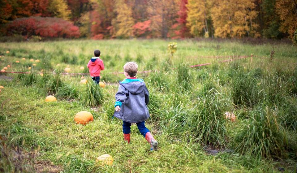 Où aller ramasser sa citrouille proche de Montréal avant l&rsquo;Halloween?