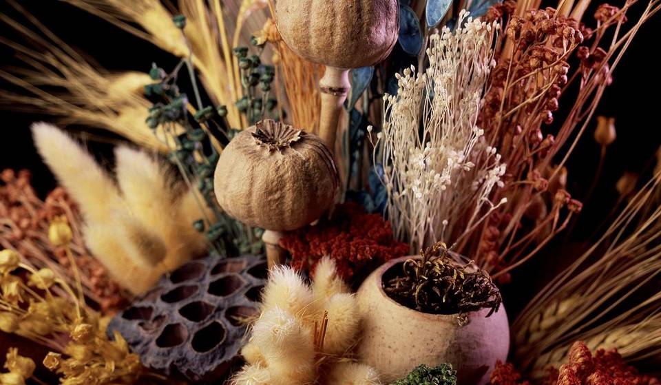 Thanksgiving Monday: what’s open and closed in Montreal