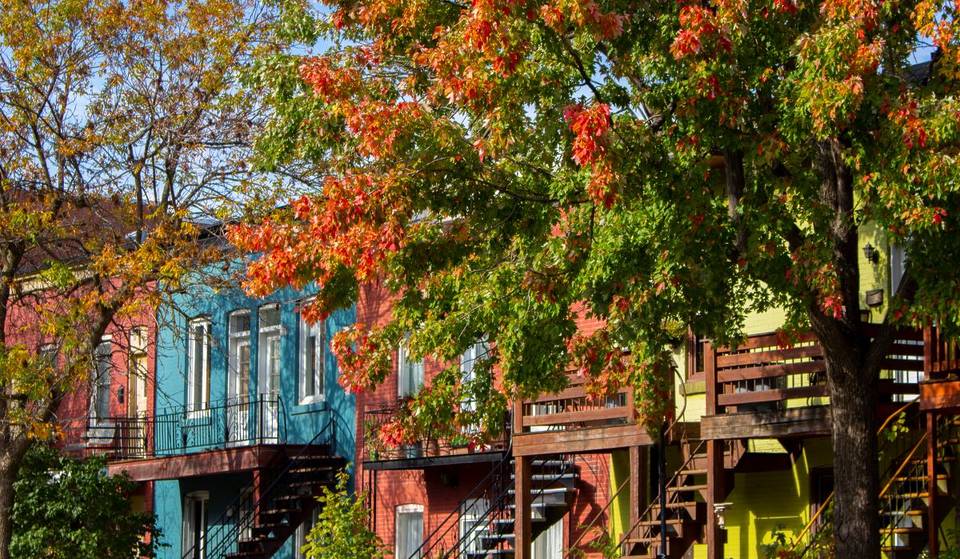 À faire gratuitement à Montréal cet automne