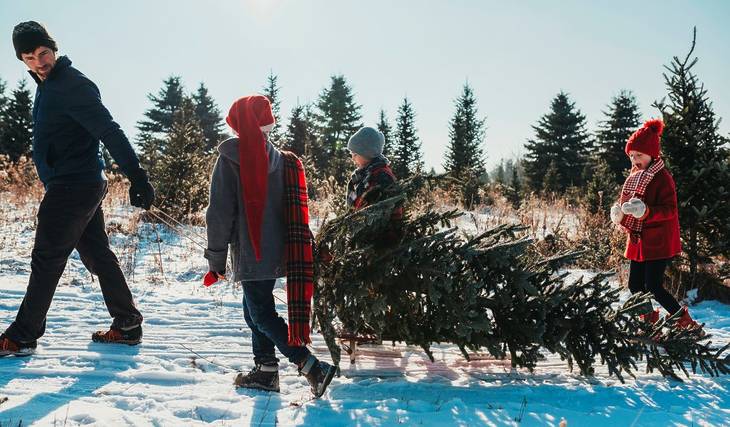 Où aller chercher son sapin de Noël à Montréal?