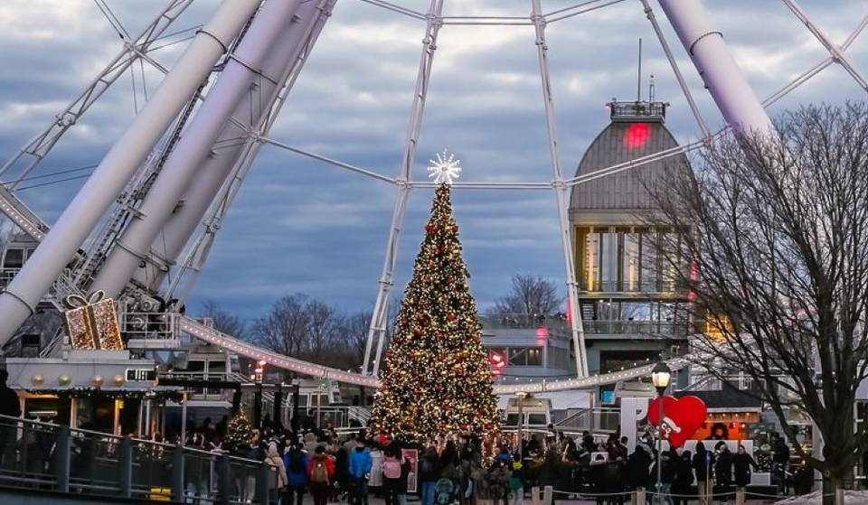 The biggest tree in Montreal’s Old Port lights up this weekend