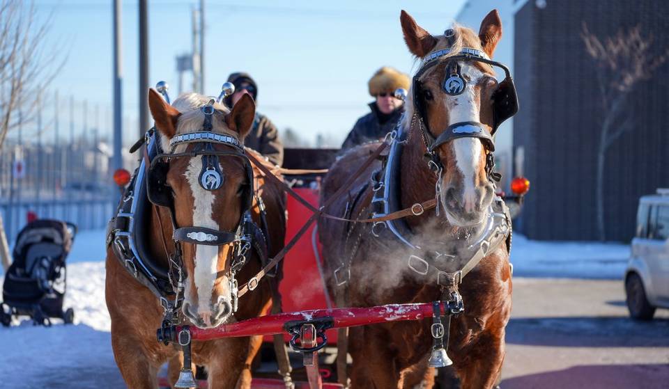 À 45min de Montréal – on fait un tour de carriole tirée par des chevaux dans ce marché de noël