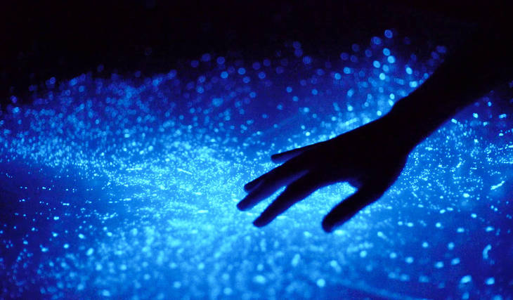 Eaux Vives: The exhibition on the hidden wonders of the aquatic world is closing its doors