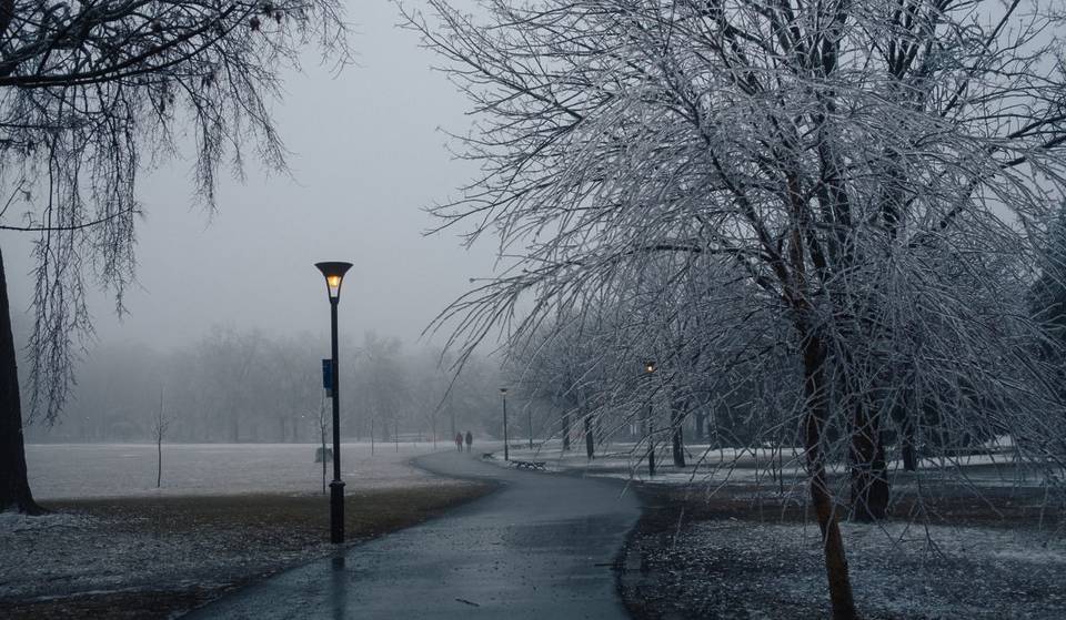 Rain and strong winds in Montreal this week – almost 20 degrees warmer in 3 days