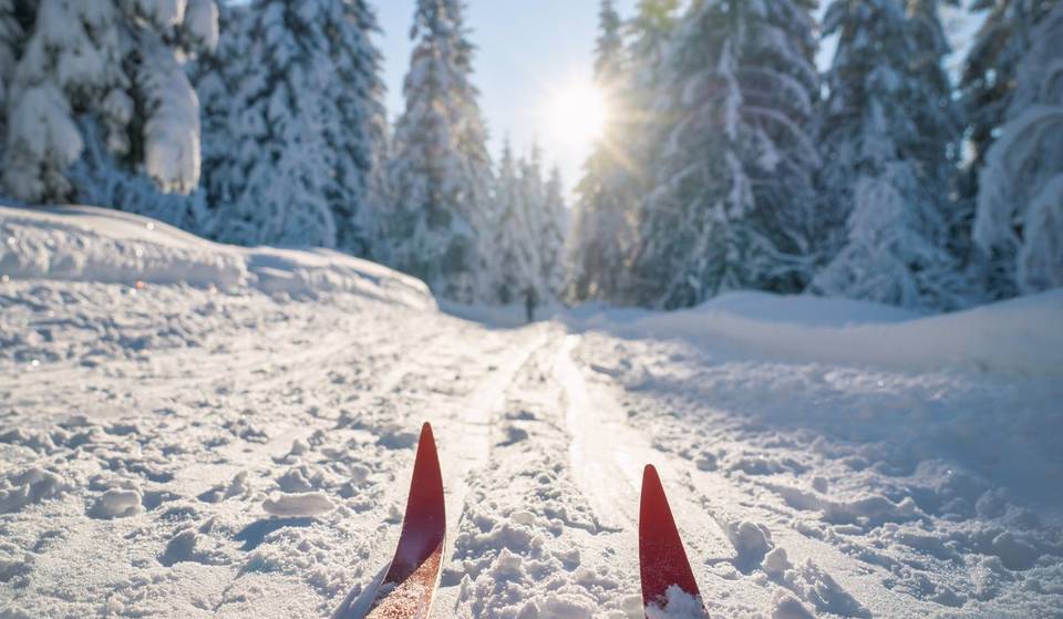 Initiations au ski de fond gratuites sur le Plateau Mont-Royal – joli temps pour les mini-sportifs