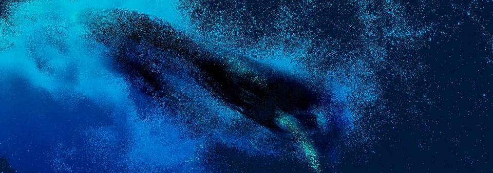 « Eaux Vives » – une expo aquatique à voir avant que le fleuve déglace