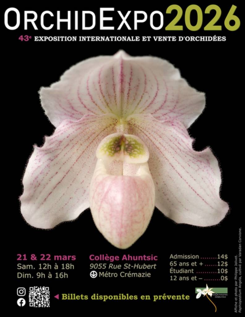 Chaleur, humidité et les plus belles orchidées du pays – OrchidExpo 2026