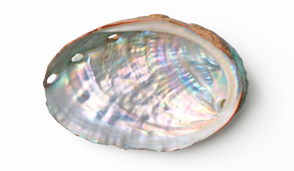 Montréal en Lumière – Terre et Mer à l&rsquo;Hôtel Four Seasons Montréal