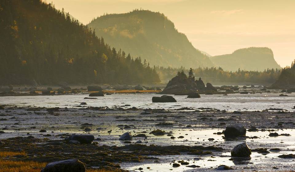 On visite le Bas-Saint-Laurent en train au départ de Montréal pour moins de 100$ ce printemps