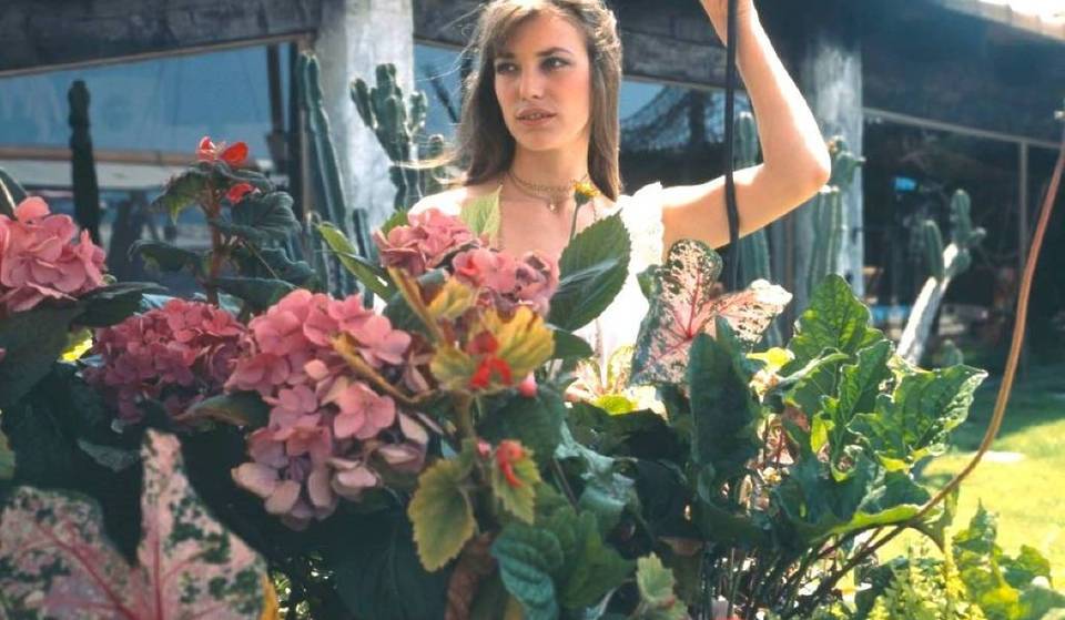 Easter Long Weekend Itinerary in Montreal