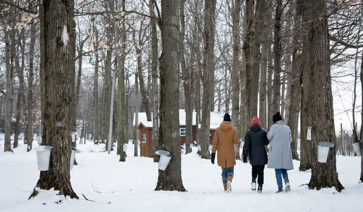 À moins d&rsquo;1h de Montréal – les Sucres dans une érablière traditionnelle
