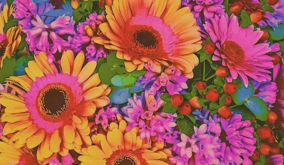 3 floral workshops to look forward to the first blooms in Montreal