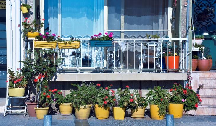 Un jardin sur notre balcon – plantations à faire en Avril à Montréal