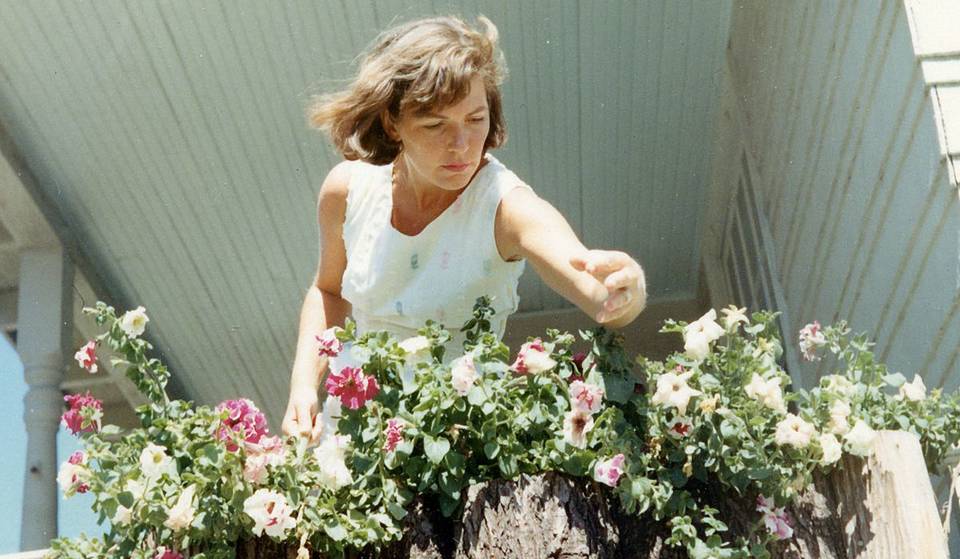 A garden on our balcony – what to plant in May in Montreal