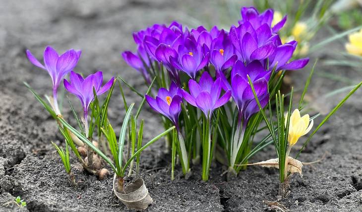 C&rsquo;est enfin le printemps à Montréal! Le mercure monte doucement pendant le mois d&rsquo;Avril