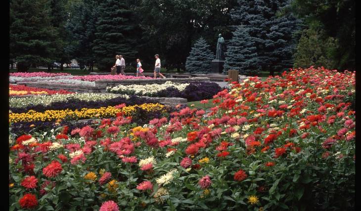 Balades printanières à faire à Montréal