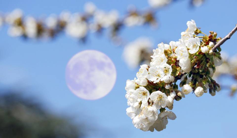 Flower Moon—the full moon of May