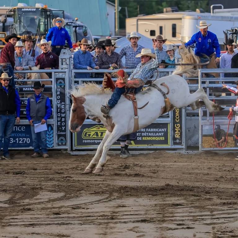 Summer 2026 Rodeo Guide