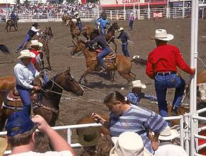Summer 2026 Rodeo Guide