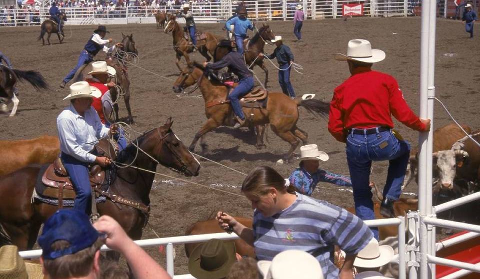 Summer 2026 Rodeo Guide