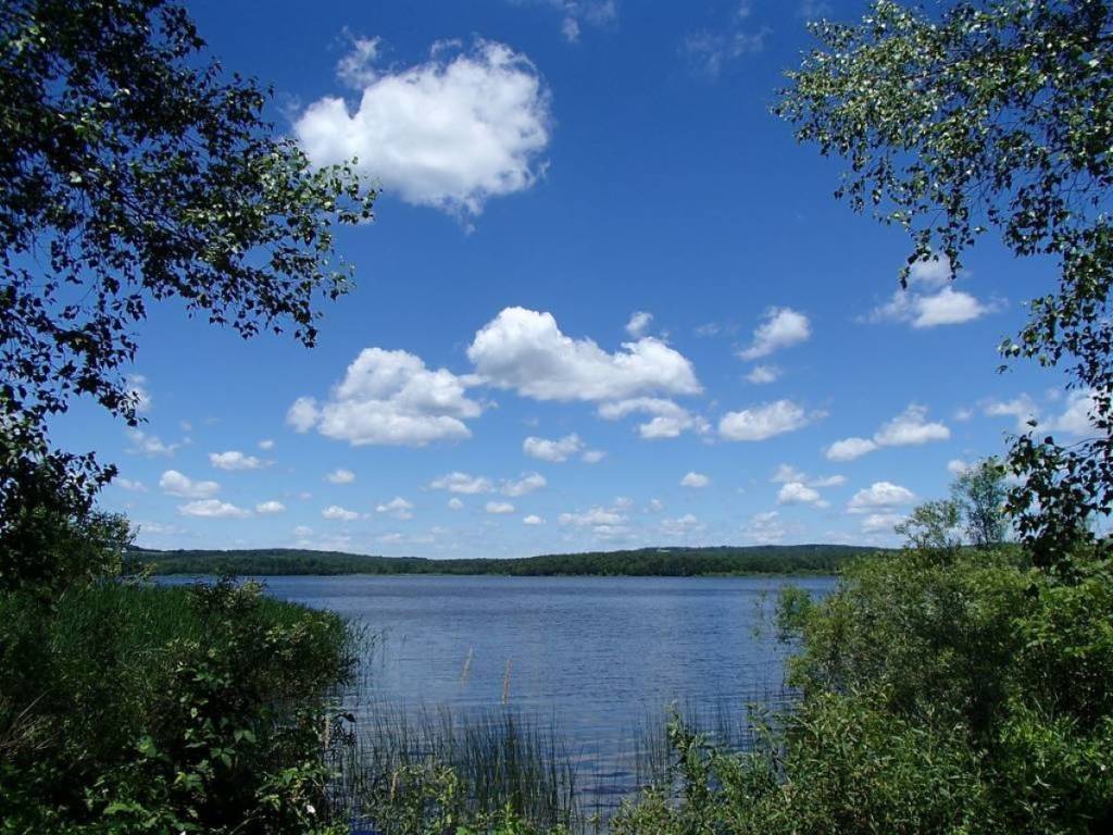 Just an hour from downtown Montreal—this summer, we’re swimming in a beautiful lake, paddleboarding, sunbathing, and biking through the forest in Yamaska National Park