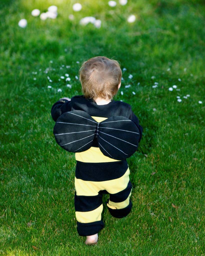 Ce week-end, le festival gratuit qui célèbre l’écosystème de Montréal, « Les Butineries », rend hommage aux pollinisateurs en plein cœur de l’été