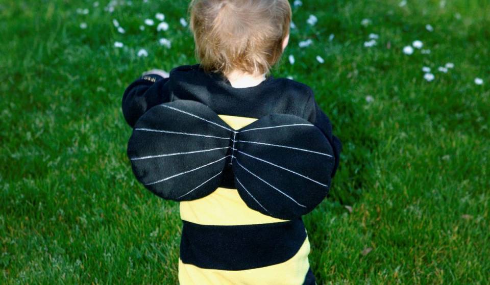 This weekend—the free festival celebrating Montreal’s ecosystem, Les Butineries, celebrates pollinators in the heart of summer