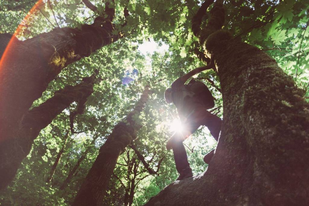 À 30min du centre-ville de Montréal – une balade sous les grands arbres dans une réserve naturelle à faire le temps d&rsquo;un après-midi cet été
