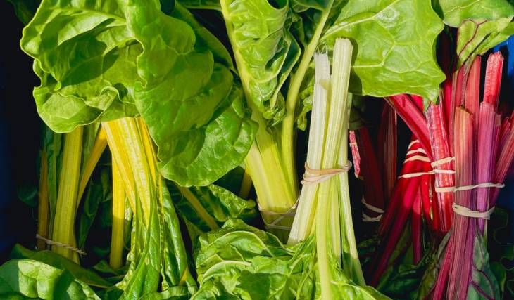 This summer in Montreal—we’ll be buying our vegetables at the movie theater, every Thursday at the “Ferme Moderne” stand at Montreal’s iconic independent cinema.