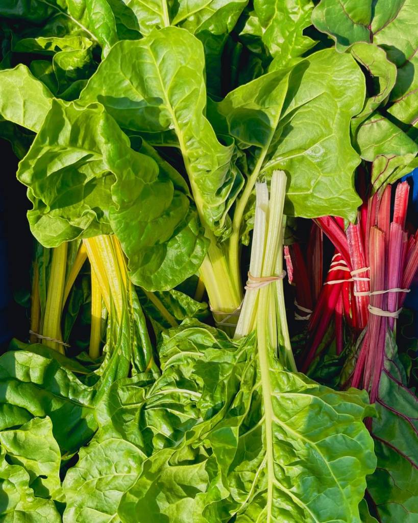 Cet été à Montréal – on va acheter nos légumes au cinéma, tous les jeudis au stand de la « Ferme Moderne » du cultissime cinéma indépendant montréalais