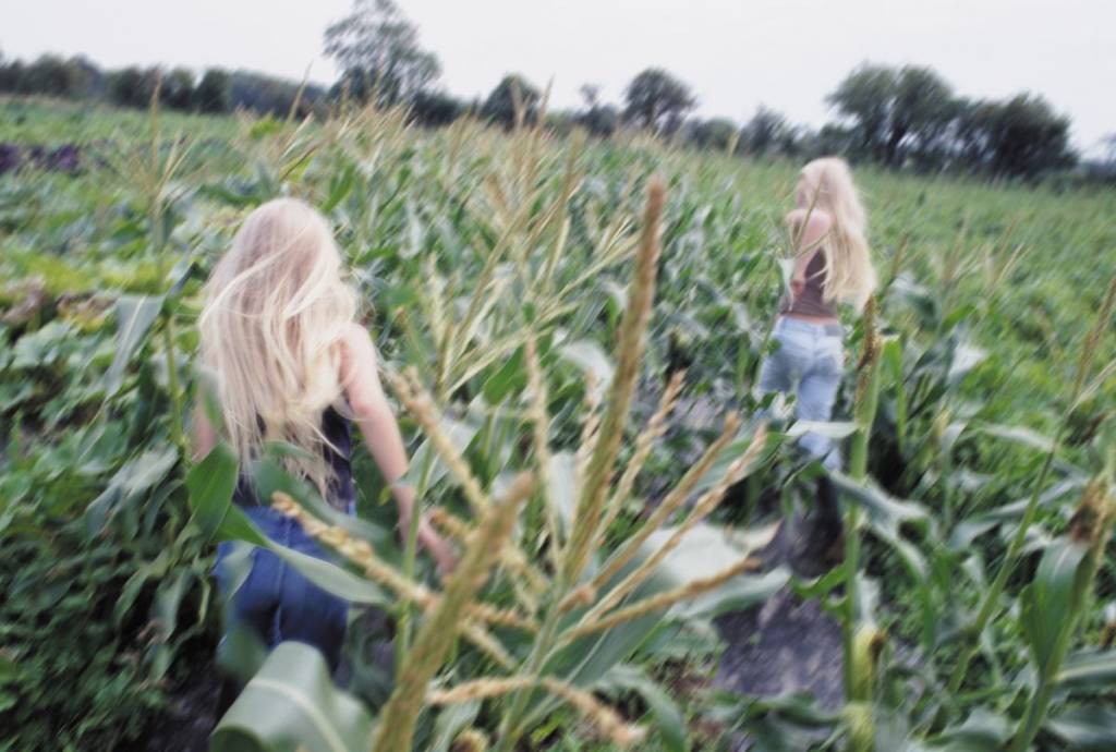 Just 40 minutes from downtown Montreal—a large corn maze and wildflowers to pick at a very pretty farm this summer
