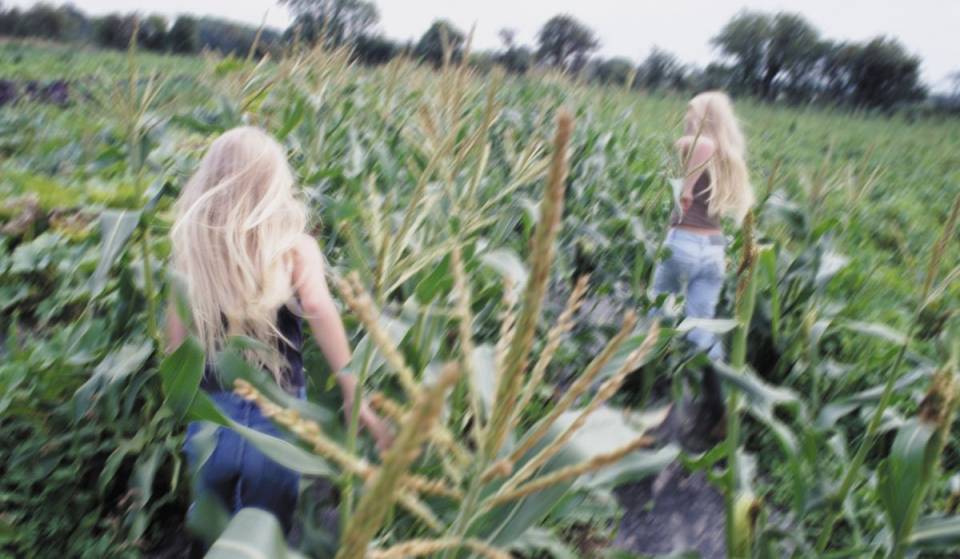Just 40 minutes from downtown Montreal—a large corn maze and wildflowers to pick at a very pretty farm this summer
