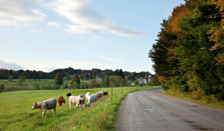 Just 1 hour and 20 minutes from downtown Montreal—an arts center worth visiting in one of Quebec’s prettiest villages this fall