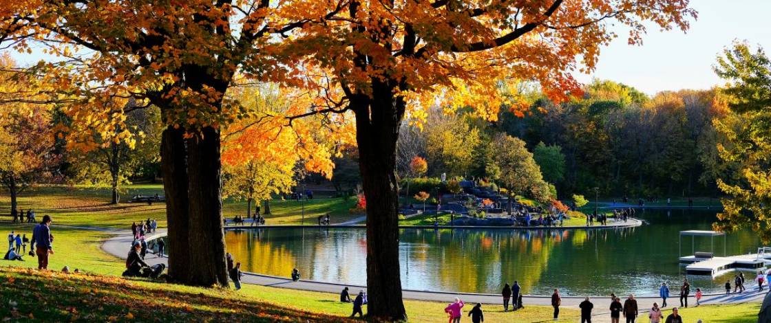 This Fall—Montreal’s Most Beautiful Parks for Watching the Leaves Change Color