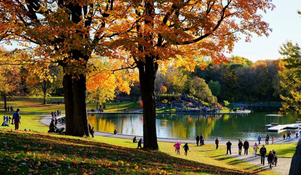 Weather—Fall will be mild in Montreal this year, and summer will stretch into late October