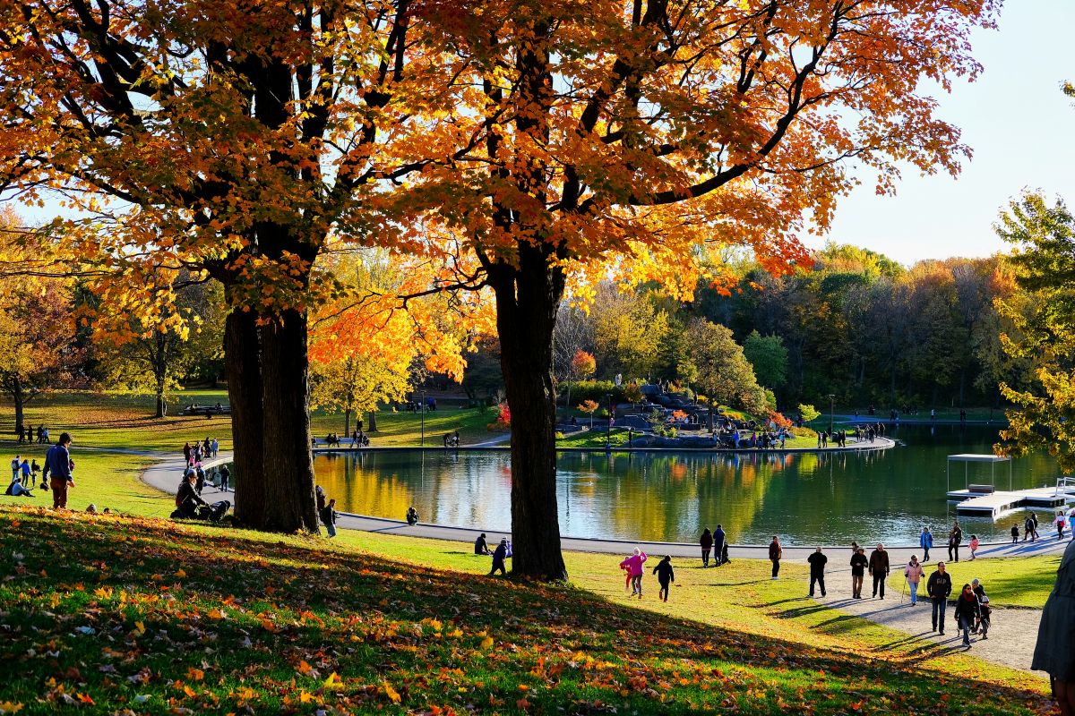 October Calendar in Montreal