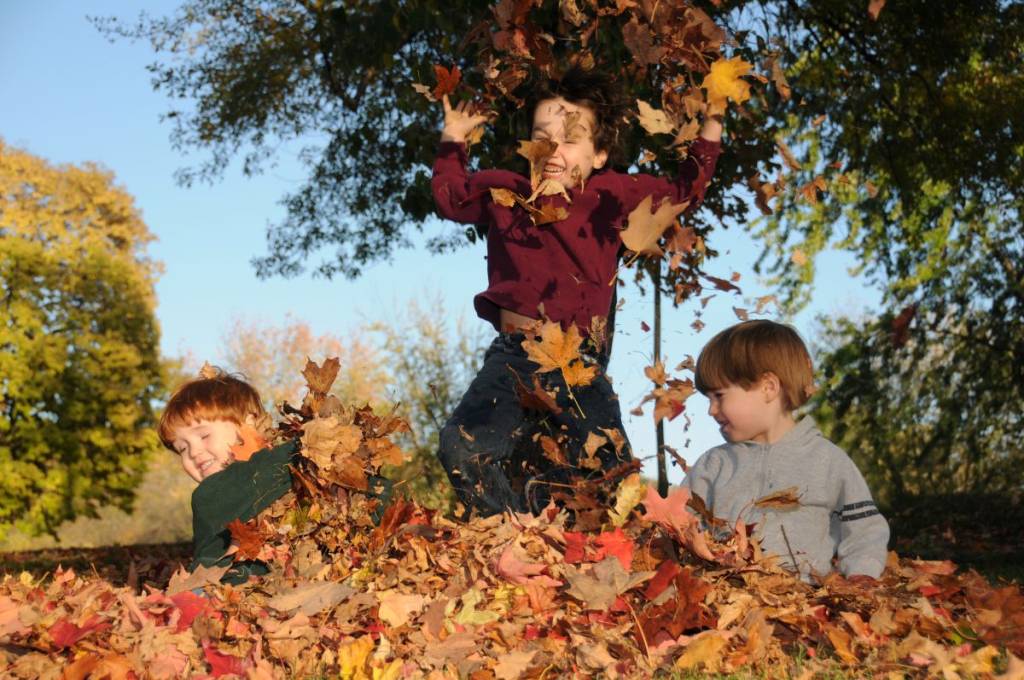À faire avec des enfants à Montréal