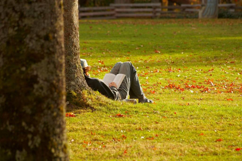 En Septembre à Montréal – une grande vente de livres à partir de 1$ à la BAnQ pour nos lectures de la rentrée