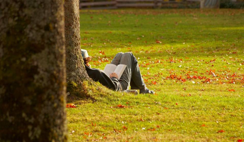 This September in Montreal—a big book sale starting at $1 at the BAnQ for our back-to-school reading