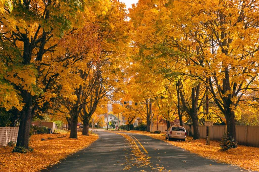 À 40min du centre-ville de Montréal – un charmant village à visiter cet automne, accessible en transports en commun