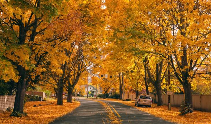 40 minutes from downtown Montreal—a charming village to visit this fall, accessible by public transit
